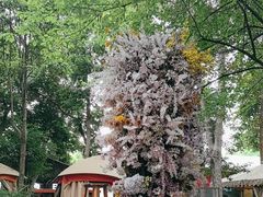 -二荆条·蜀鲜汇城市森林火锅