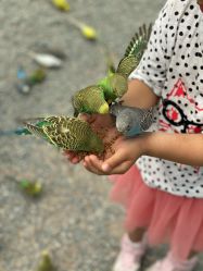 -萌宠亲子动物乐园(槐房万达店)