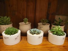 -彼芝奇比萨(红坊店)