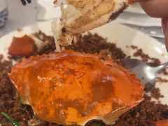 -喜记避风塘炒辣蟹(旗舰店)