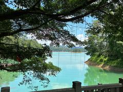 -广州市流溪河国家森林公园