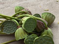 -渌洋湖湿地公园