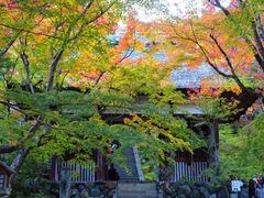 -常寂光寺