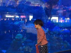 -成都浩海立方海洋公园