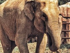 -沈阳森林动物园