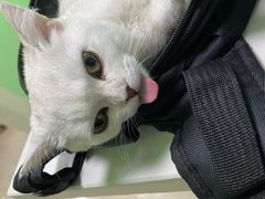 -圣宠动物医院·犬猫专科·影像中心·外科中心