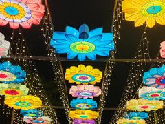 -广西壮族自治区药用植物园