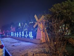 -大塘金香草谷