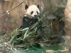 -成都动物园