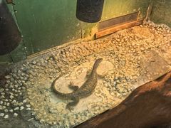 -上海昆虫博物馆