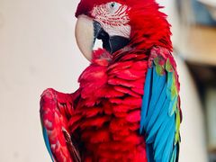 -国际非物质文化遗产博览园