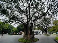 -海珠湖公园