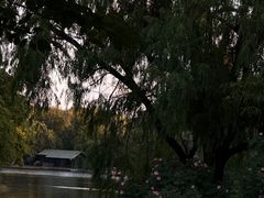 -上海共青森林公园