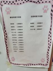 -秦皇星际小蚂蚁乐园