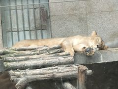 -西安秦岭野生动物园