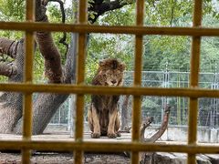 -上海野生动物园