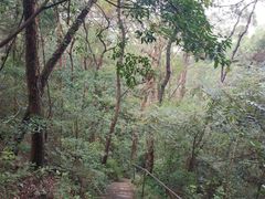 -滴水岩森林公园