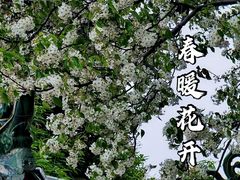 -中山公园