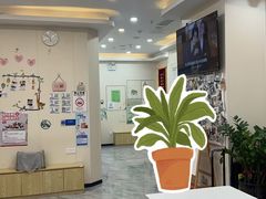 -芭比堂动物医院·24小时·眼科中心(深圳中心)