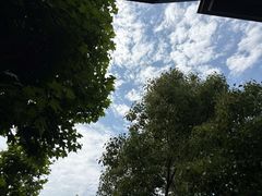 -星巴克臻选(思南公馆店)