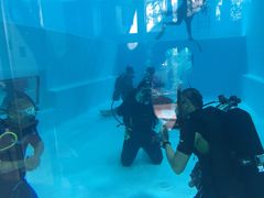 -上海潜殿潜水中心