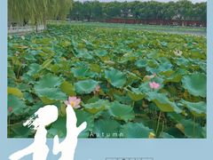 -北海公园