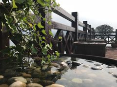 -望海·帆船主题咖啡厅•品茗下午茶(石湖景区店)