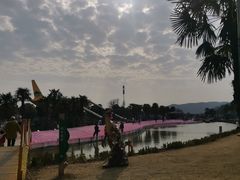 -苏州太湖西山岛开心农场