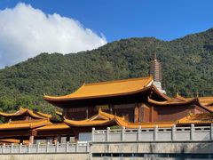 -深圳仙湖植物园