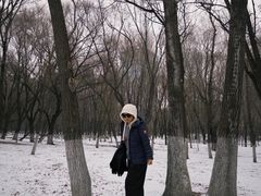 -长白岛森林公园