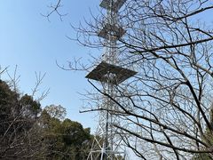 -惠山国家森林公园
