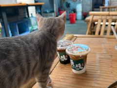 -周大娘牛乳(旧寨古村总店)