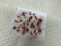 -天津前进宠物医院(前进道店)