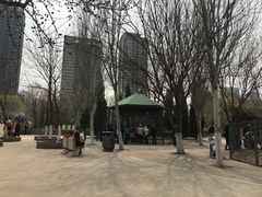 -长白岛森林公园