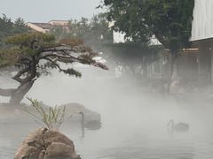 -罗红摄影艺术馆