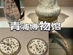 -上海崧泽遗址博物馆