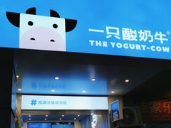 -一只酸奶牛(春熙路店)