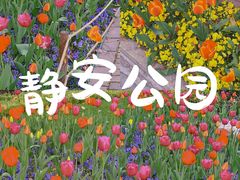 -静安公园(静安寺街道)