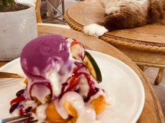 -共舞时光猫咖·狗咖(新街口店)