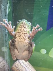 -酷嗒动物文化乐园(cutezoo西溪乐天城店)