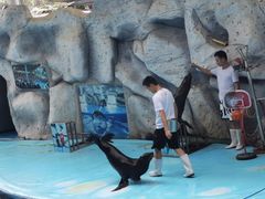 -泉州海丝野生动物世界