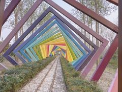 -合肥滨湖国家森林公园