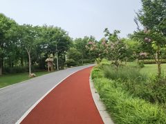 -上海长兴岛郊野公园