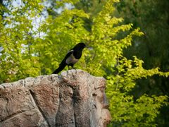 -哈尔滨文化公园