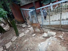 -昆明动物园