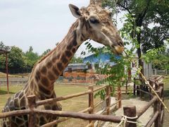 -西安秦岭野生动物园