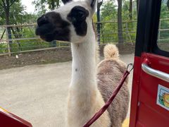 -南京金牛湖风景区