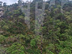-苍山感通索道