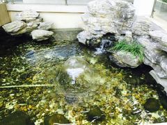 iphone_upload_pic-上海怡沁园度假酒店