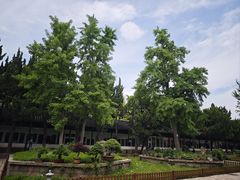 -苏州文庙(姑苏区)